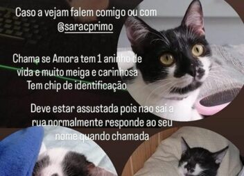 Desaparecida em Castelo Branco