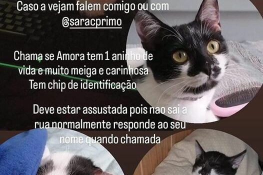 Desaparecida em Castelo Branco