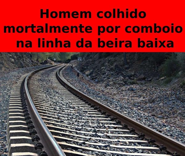 Homem morre colhido por comboio na Linha da Beira Baixa