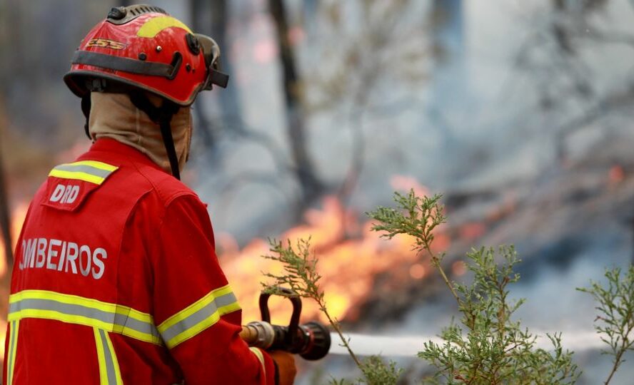Incêndio agrícola no Ladoeiro