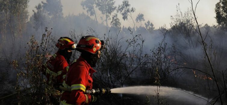 Incêndio na Covilhã mobilizou um meio aéreo