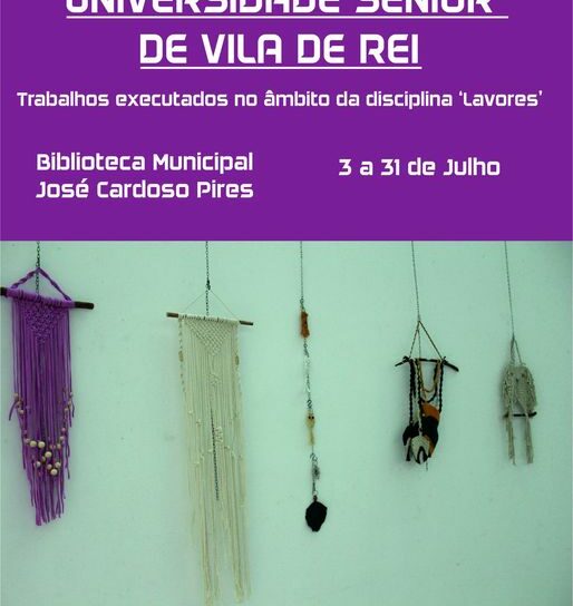 Vila de Rei