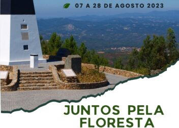 Vila de Rei com três programas de Voluntariado Jovem