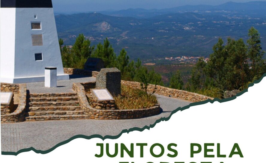 Vila de Rei com três programas de Voluntariado Jovem