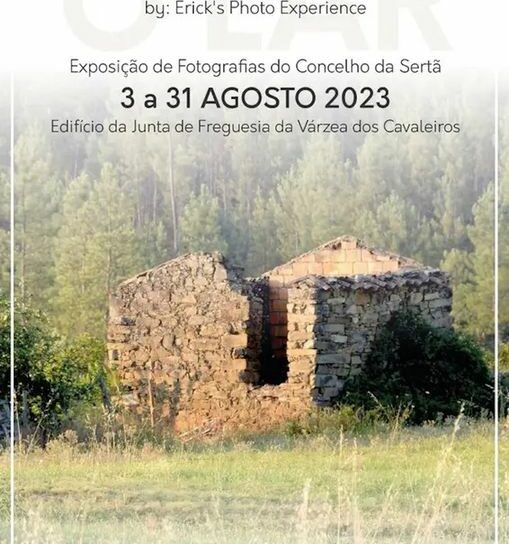 Sertã