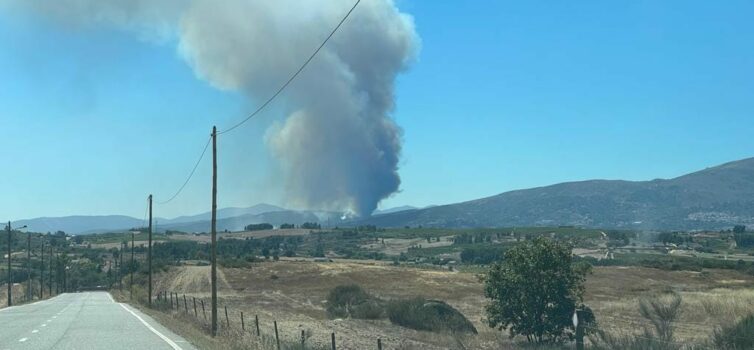 3 meios aéreos combatem incêndio na Covilhã