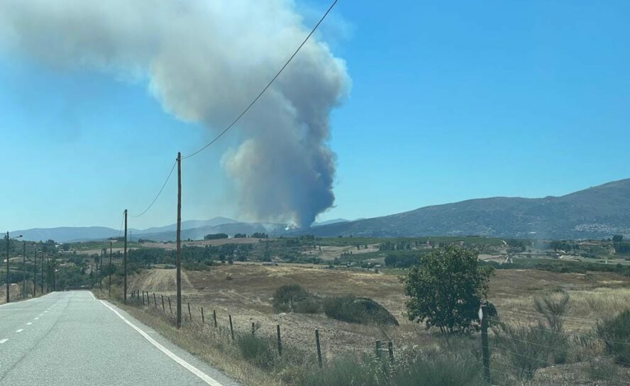 3 meios aéreos combatem incêndio na Covilhã
