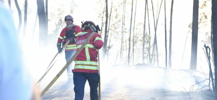Castelo Branco com prejuízos de 394 mil euros sem contabilizar área ardida
