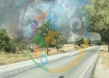 Incêndio deflagra em Penamacor