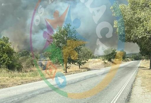 Incêndio deflagra em Penamacor