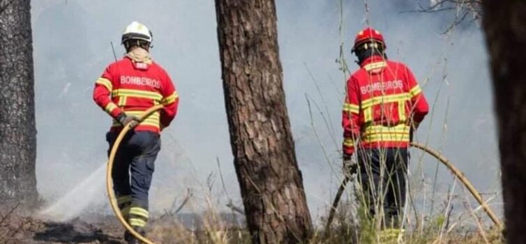 Incêndio deflagrou no concelho de Elvas