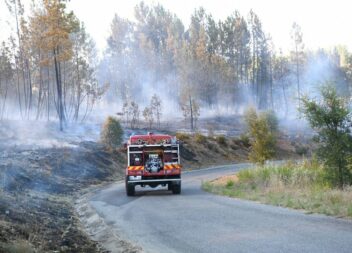 Incêndio em Castelo Branco e Proença-a-Nova já não tem frentes ativas