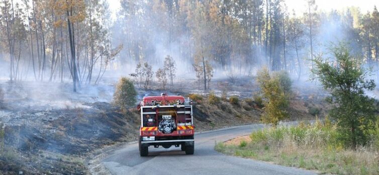 Incêndio em Castelo Branco e Proença-a-Nova já não tem frentes ativas