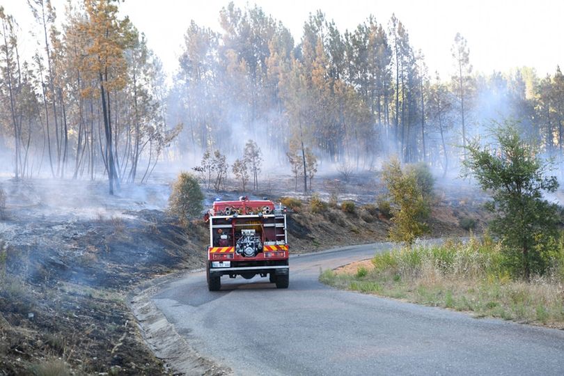 Incêndio em Castelo Branco e Proença-a-Nova já não tem frentes ativas