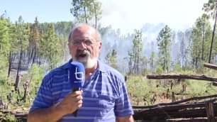 Incêndio florestal em Santo André das Tojeiras