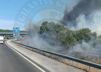 Incêndio junto à A23