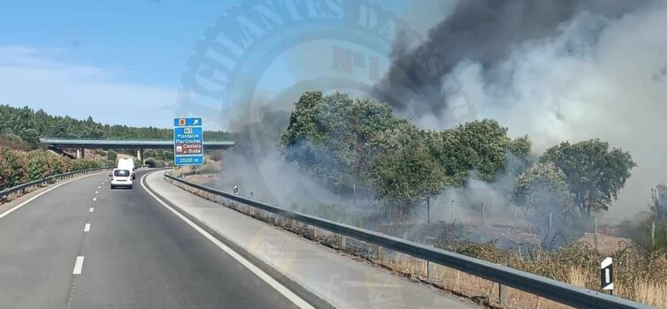 Incêndio junto à A23