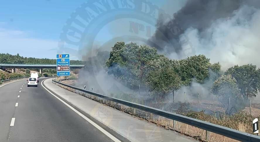 Incêndio junto à A23