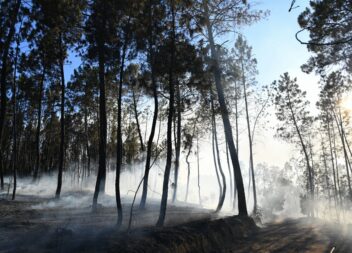Incêndio que lavra em Castelo Branco e Proença-a-Nova provoca 6 feridos ligeiros