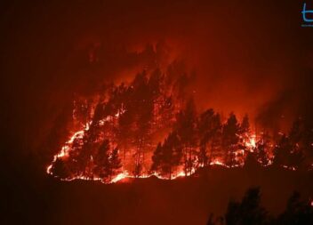 Incêndios de Castelo Branco e Odemira representam mais de metade da área ardida
