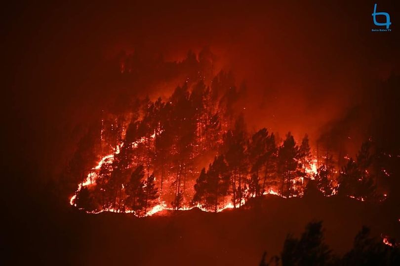Incêndios de Castelo Branco e Odemira representam mais de metade da área ardida