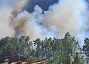 Mais de 300 operacionais combatem incêndio em Castelo Branco