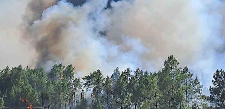 Mais de 300 operacionais combatem incêndio em Castelo Branco