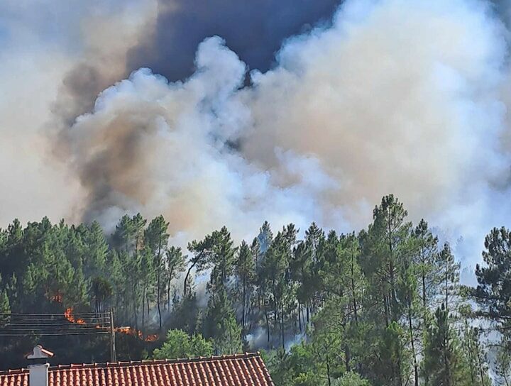 Mais de 300 operacionais combatem incêndio em Castelo Branco