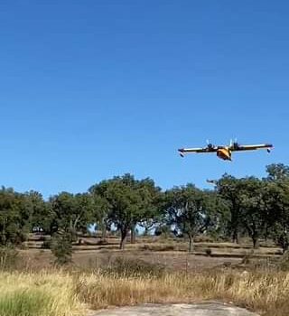 Meios aéreos abastecem na Barragem da Marateca