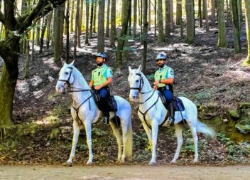 Operação “West Lunch”