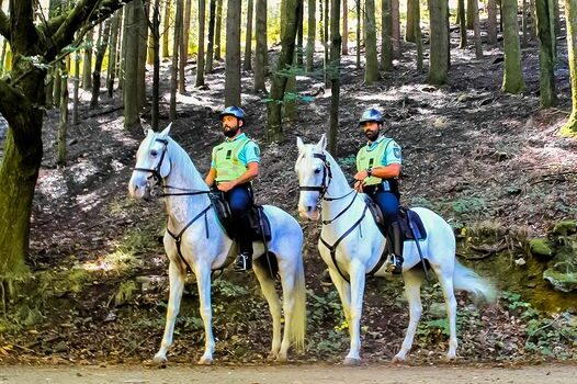 Operação “West Lunch”