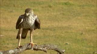Parque Natural Tejo Internacional 23º aniversário