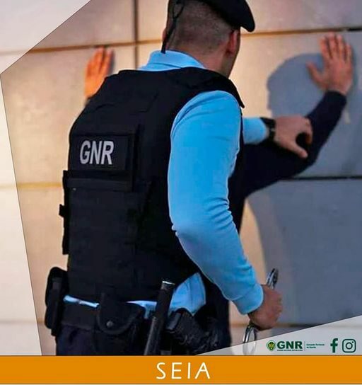 Seia