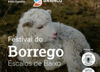 Castelo Branco