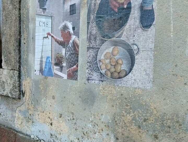 Sertã