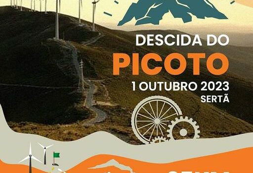Sertã