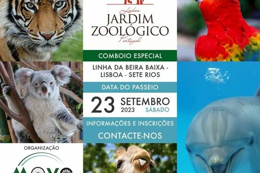 Associação Move Beiras
