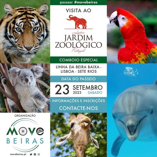 Associação Move Beiras