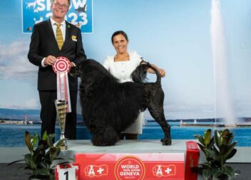 Melhor cão do mundo é português e de Ferreira do Zêzere
