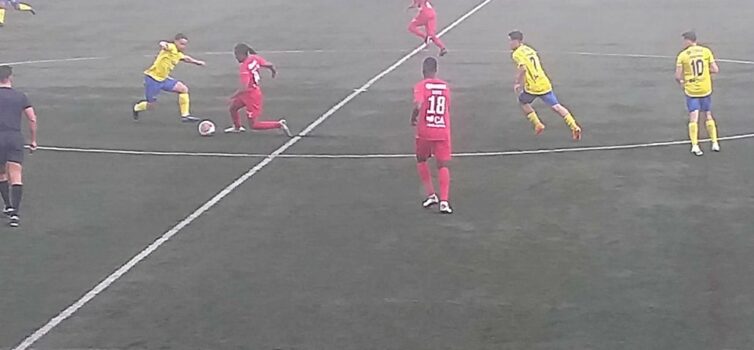 Mortágua 1 Benfica e Castelo Branco 2