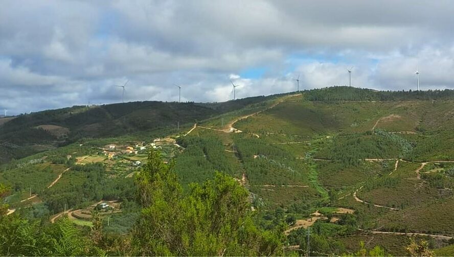 Oleiros