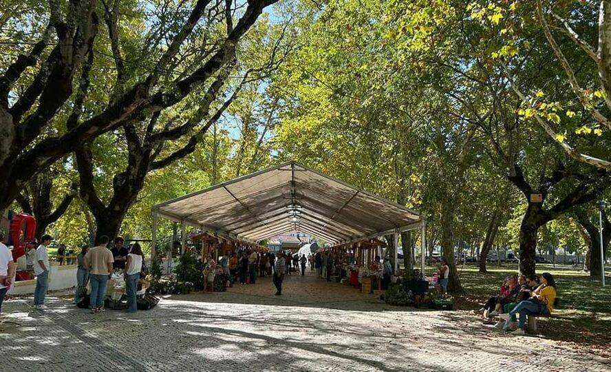 Sertã