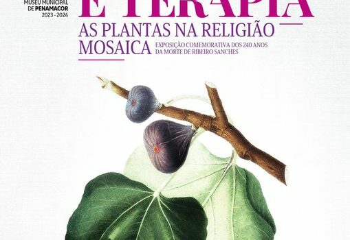 Penamacor