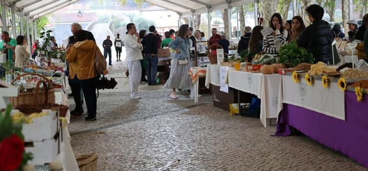 Sertã