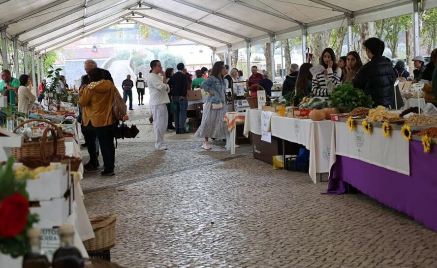Sertã