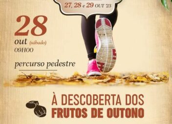 Oleiros