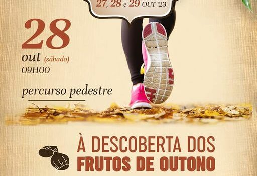 Oleiros