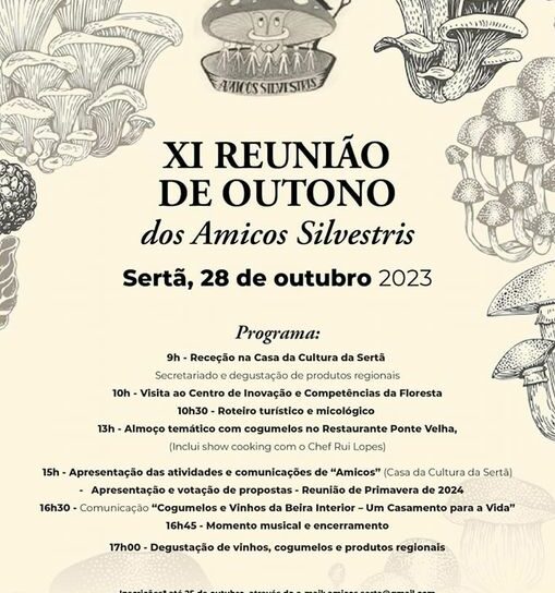 Sertã