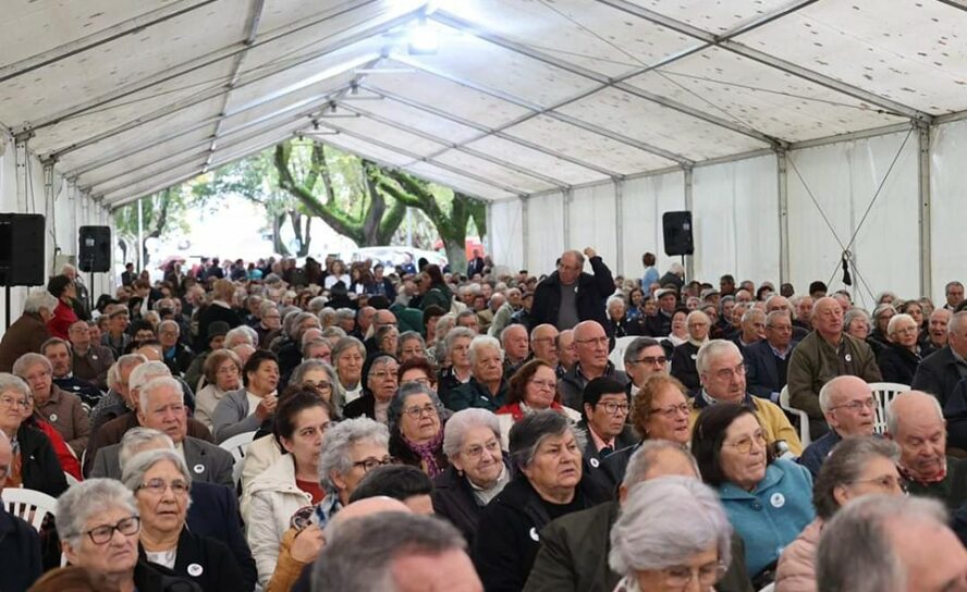 Sertã
