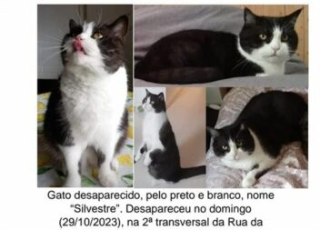 Covilhã